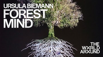 Ursula Biemann presents Forest Mind  | The World Around Summit 2022