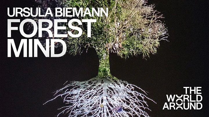 Ursula Biemann presents Forest Mind  | The World A...