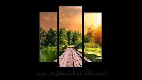 سورة الكافرون بصوت القارئ عبدالرحمن عبدالغني