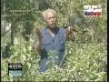 من بلي الهوى محمد سعد عبد ألله 