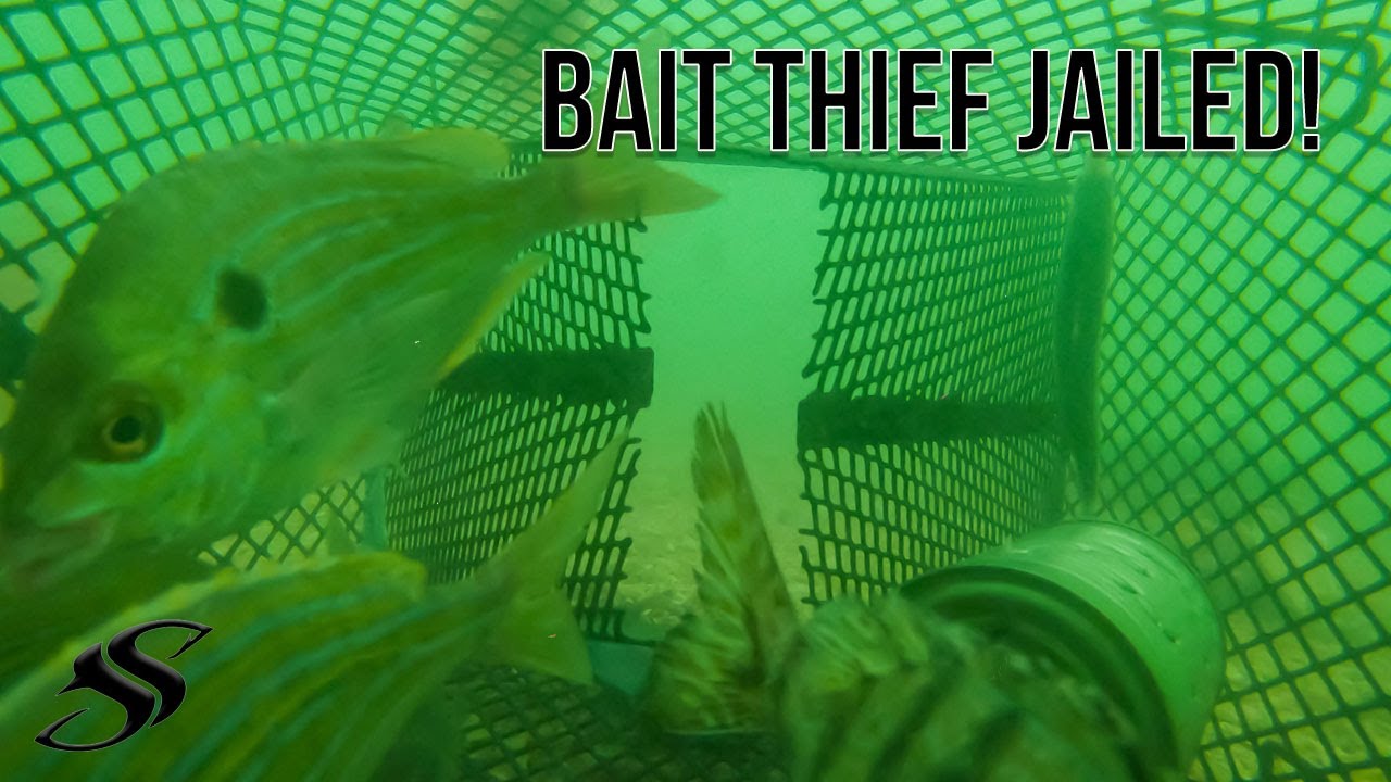 fish lure thief Stickbait 30g Floating Midnight Liquorice Big Fish Feather Thief