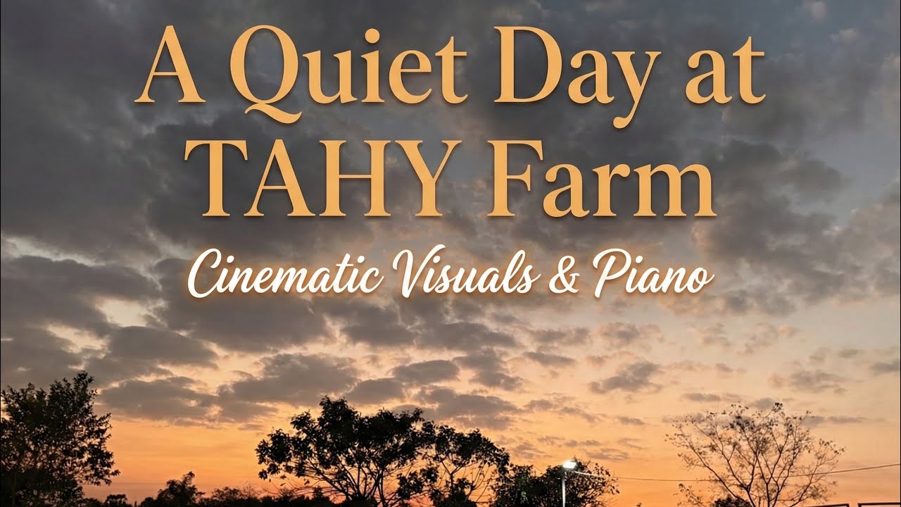A Quiet Day at TAHY Farm | Cinematic Visuals & Piano