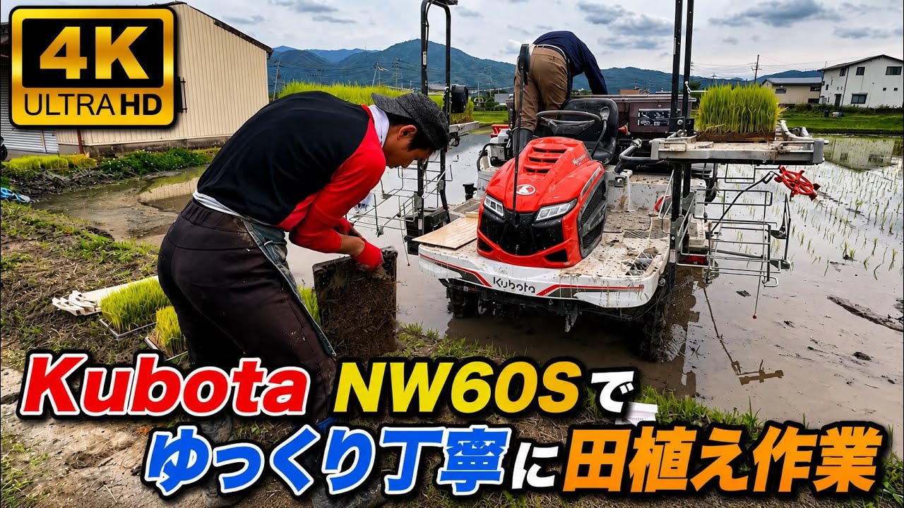 Kubota NW60S GS 田植え機 田植え作業#farming #現代農業 #automobile