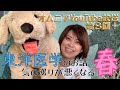 東洋医学のお話〜気の巡りが悪くなる春