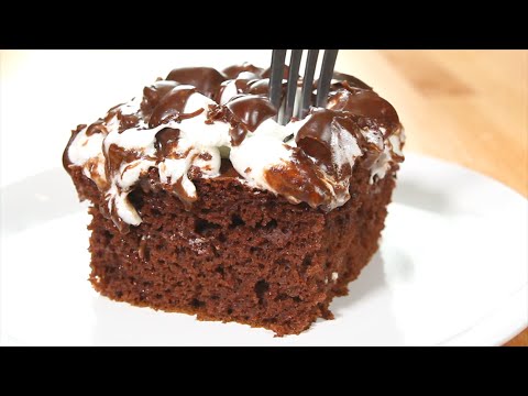 Mississippi Mud Cake