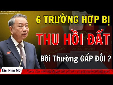 6 Trường Hợp