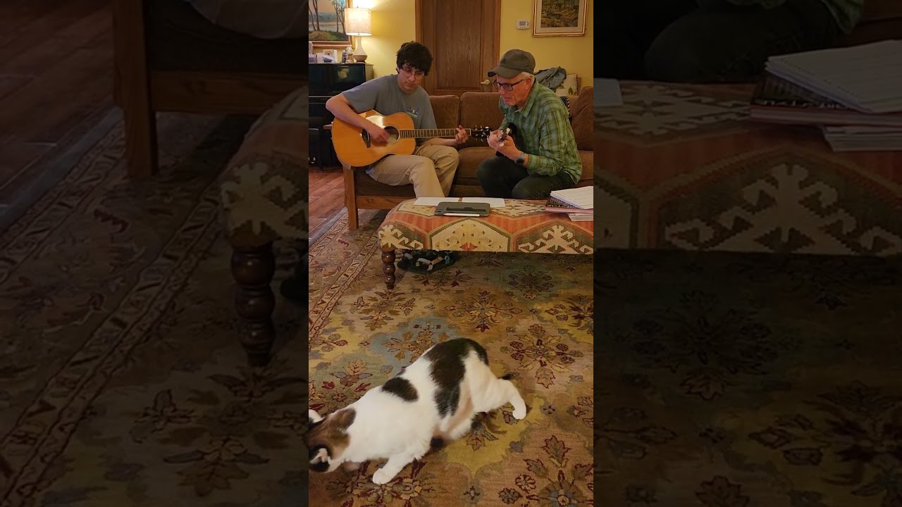 La Storia Di Un Amore by Ward, Elijah-Howard,and Baby-Kitty Quincey