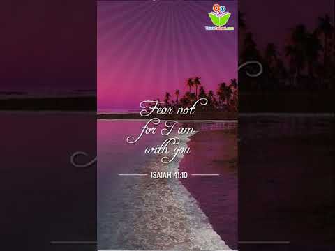 Fear not for