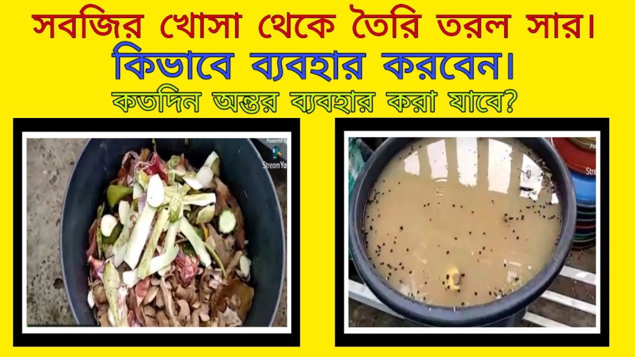 How to make fertilizer from kitchen waste liquid fertilizer from