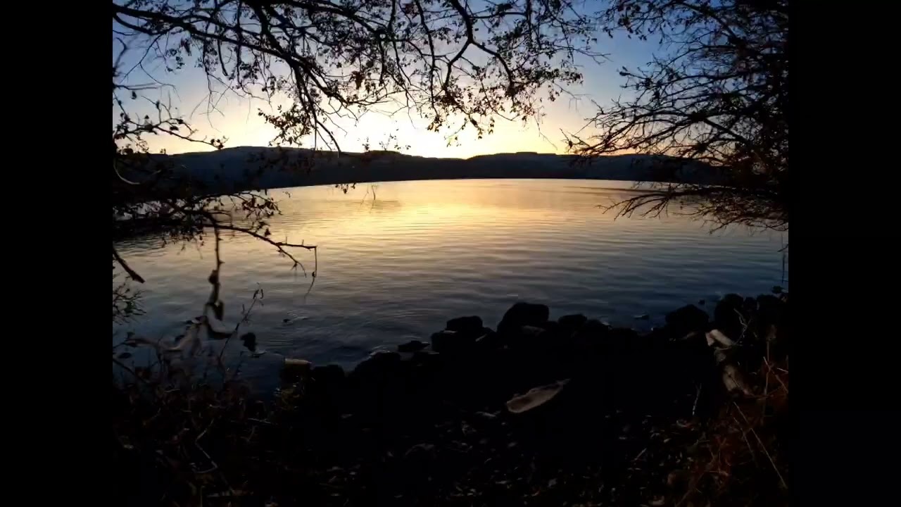 0001- kid makes thanks