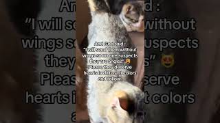 usa#please_subscribe_my_channel #dothingsyoudontwanttodo #pleas #videoviral #linkinbio #kitten
