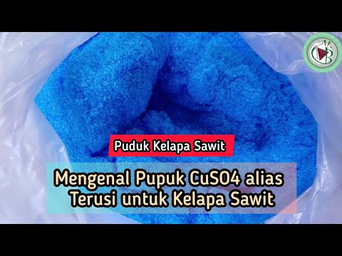 Video: Apakah nama biasa untuk CuSO4?