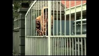 Menanti Hari Itu [Telemovie]