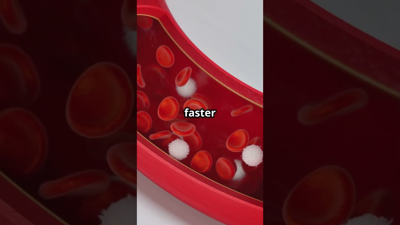 Mitochondria:  The Cell's Secret Movers!