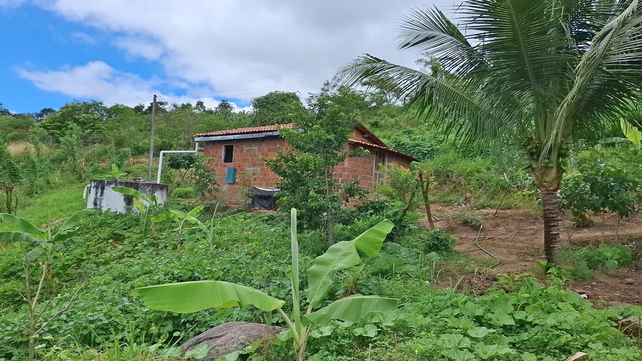 Minha maravilhosa casinha simples aonde tem muitas frutas e verduras 