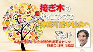 名古屋大学【ストレス土壌でも農業を】接ぎ木のサイエンスで持続可能な社会へ