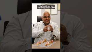 Download Lagu circumsision is art #sunat #khitanan #khitan MP3 Download Lagu circumsision is art #sunat #khitanan #khitan MP3