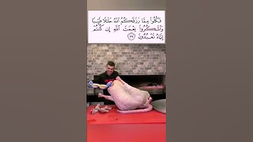 { فكلوا مما رزقكم الله حلالا طيبا واشكروا نعمة الله } آية 114 سورة النحل / القارئ خالد الجليل