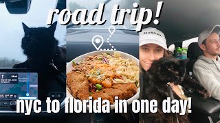 16 hour road trip with our cat!! NYC to FLORIDA...absolute CHAOS