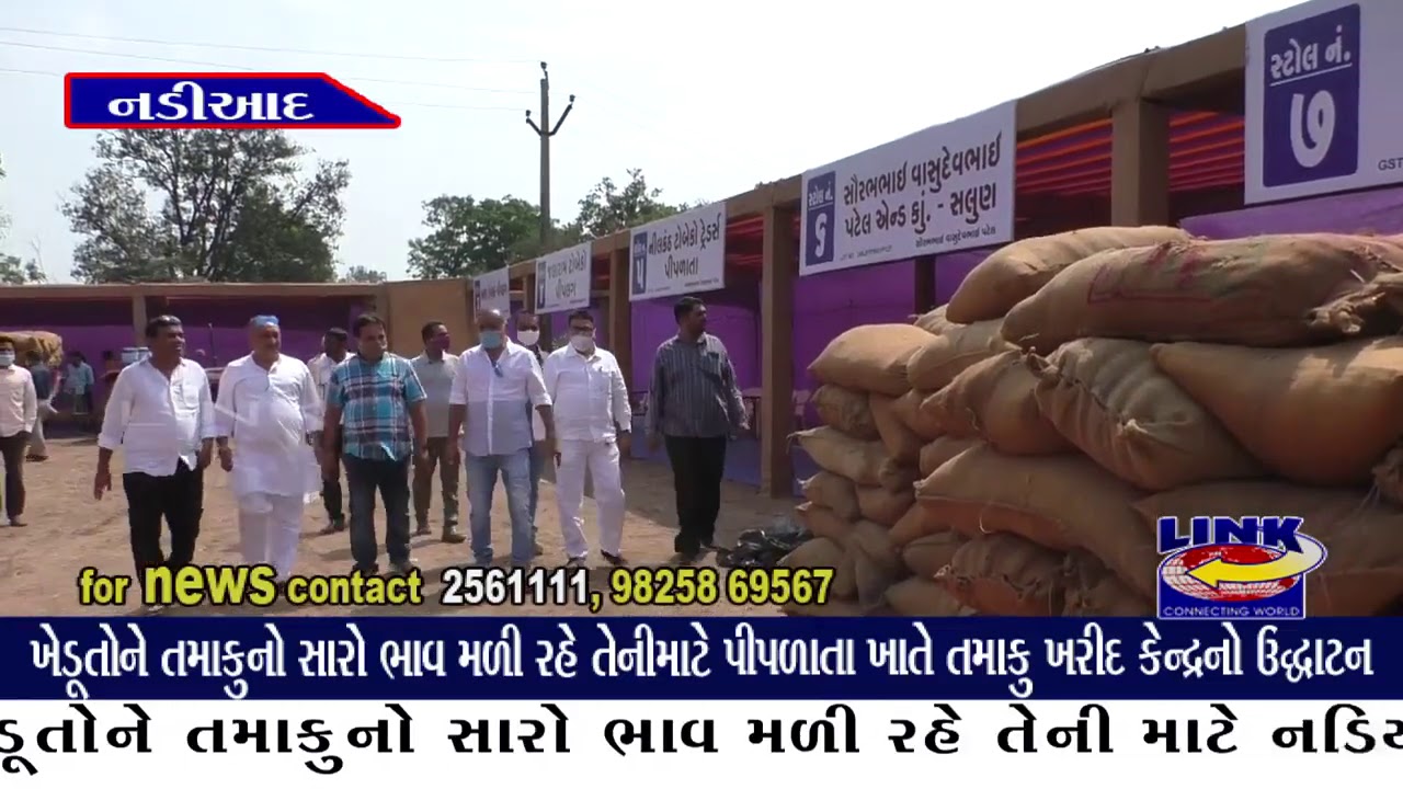 નડિયાદ : ખેડૂતોને તમાકુનો સારો ભાવ મળી રહે તેનીમાટે પીપળાતા ખાતે તમાકુ ખરીદ કેન્દ્રનો ઉદ્ઘાટન