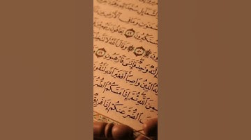 سورة النصر محمد ايوب