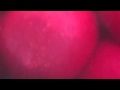 Everything Everything - Arc - Undrowned (Preview)