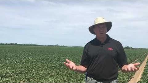 Engenia® Herbicide Application Tip #1 - Spray Nozzles