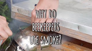 Why do beekeepers use smoke on their hives?