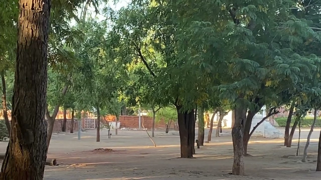 Rptc jodhpur running 5 km jodhpur commissioner jalore Sirohi 