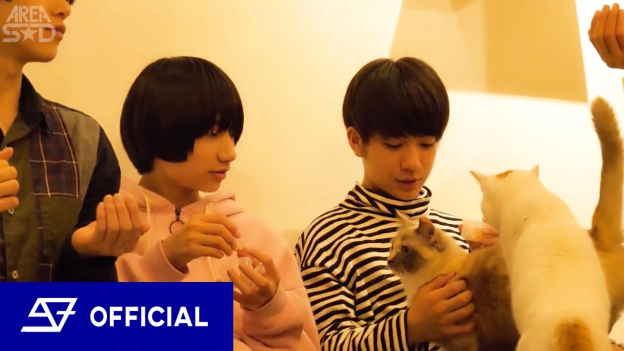 猫カフェに行ってみた / SUPER★DRAGON【AREA SD】
