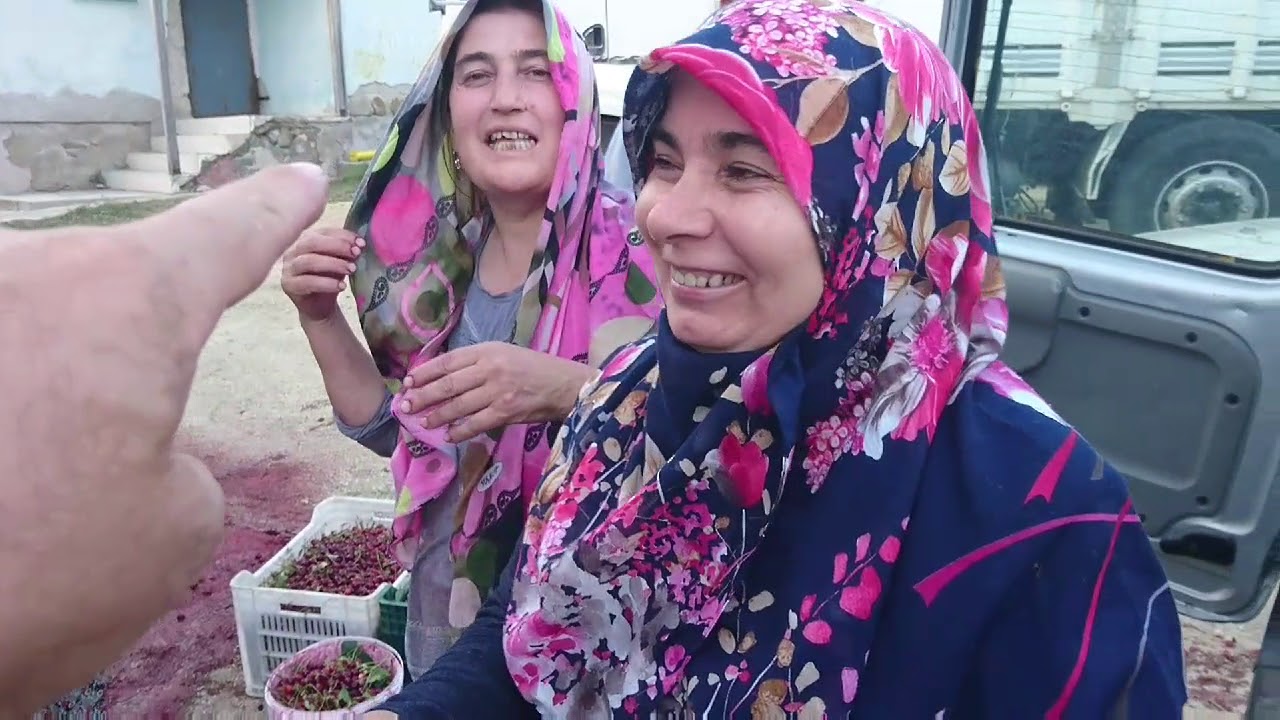 Vişne Nasıl Bir Ağaçtır Vişne Nasıl Bir Ağaçtır