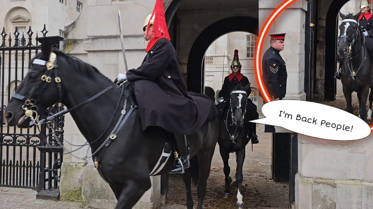King "ORMONDE" Gets A Surprise Visit From The Corporal Of Horse! YouTube