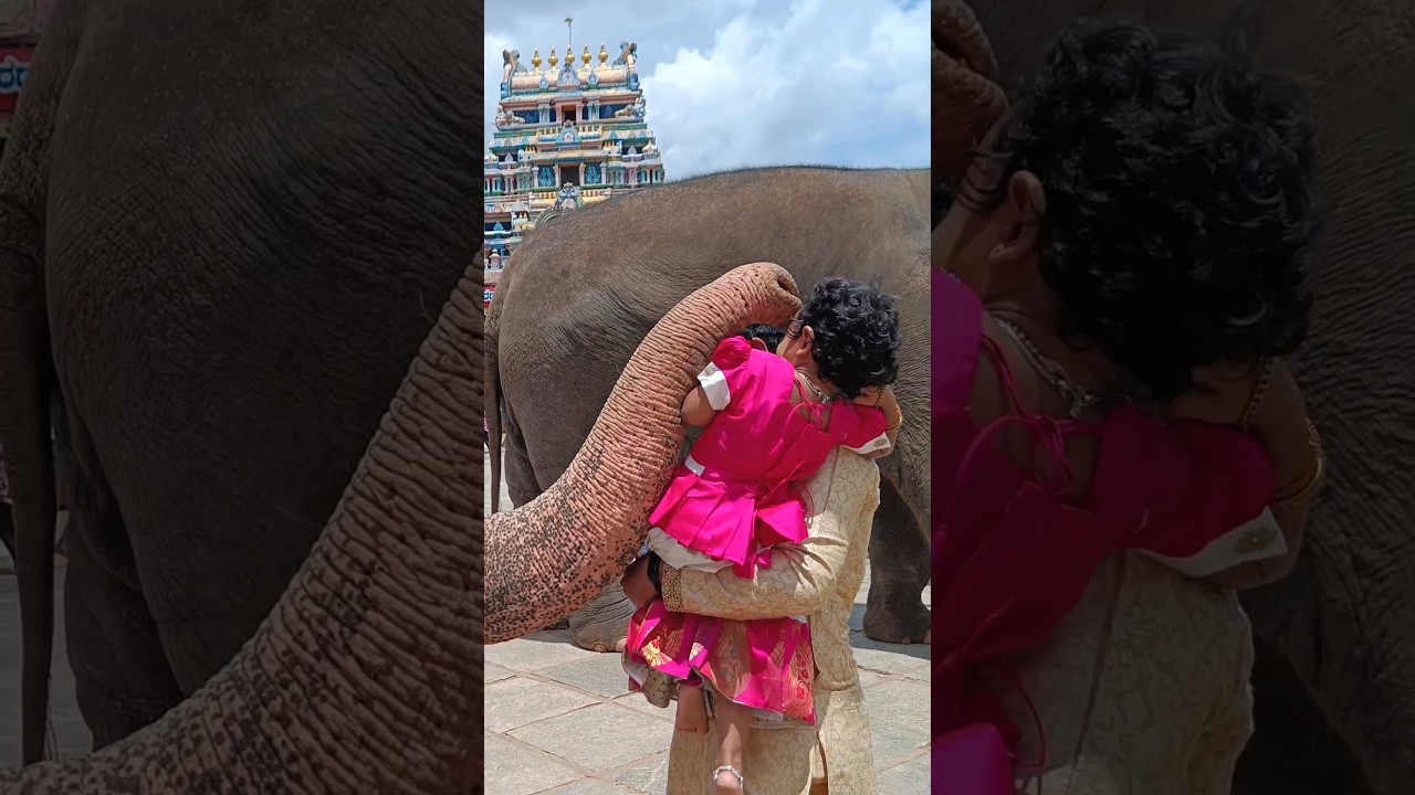 Sringeri Sharada Peetam|   Sringeri Temple 