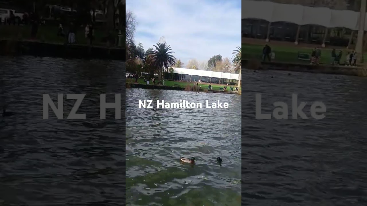Hamilton lake view, New Zealand.