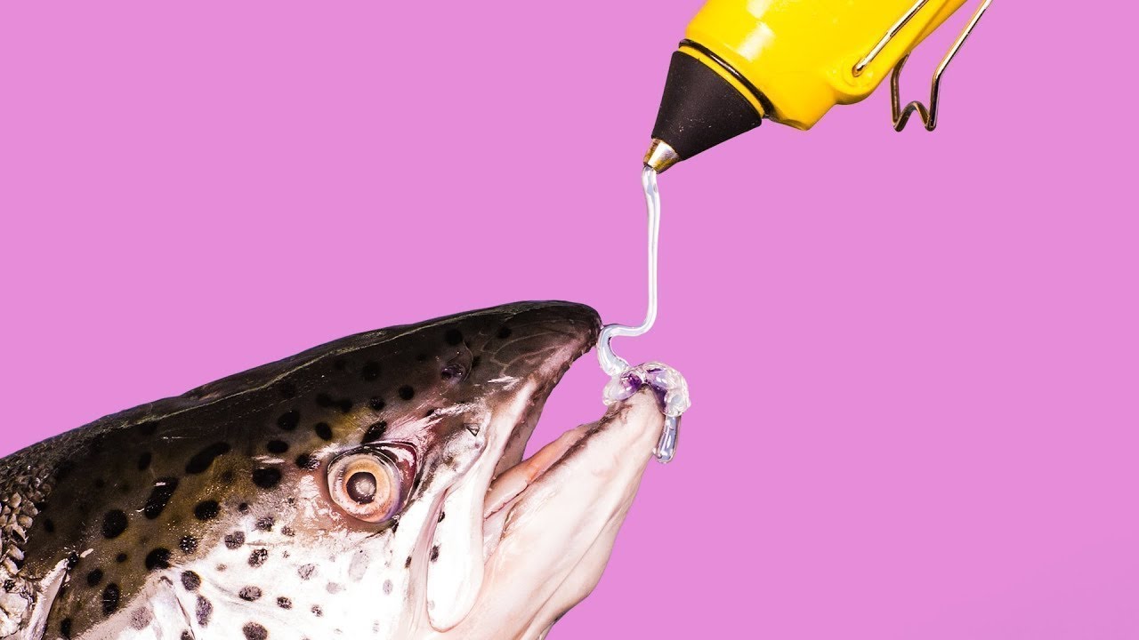 42 AUSGEFALLENE KÜCHEN HACKS, DIE DEINEN KOCHSTIL VERÄNDERN WERDEN