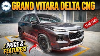 Maruti Grand Vitara Delta CNG ✅ Perfect in Everything