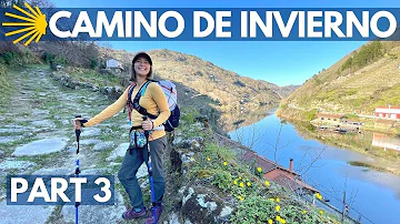 Camino De Invierno: Monforte de Lemos to Santiago (Day 6-10) The LAST 100 KM!