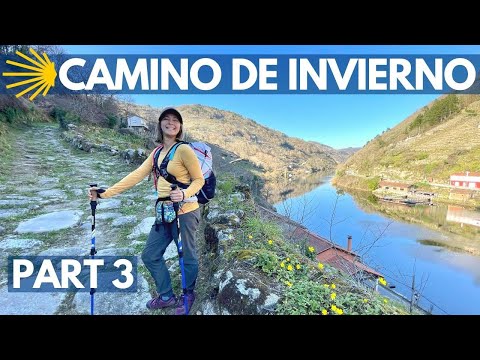 Camino De Invierno: Monforte de Lemos to Santiago (Day 6-10) The LAST 100 KM!