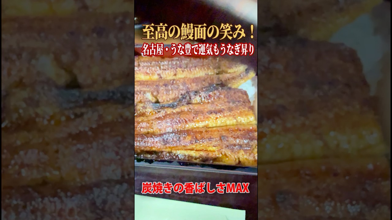 【名古屋グルメ】名店「うな豊」の絶品うな重と白焼き重 #うなぎ #うな豊 #名古屋グルメ