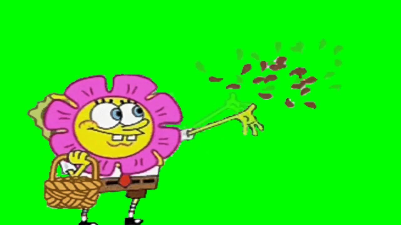 Green Screen Flowers (Spongebob) YouTube
