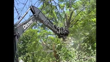 Topping trees with a rotobec grapple saw.