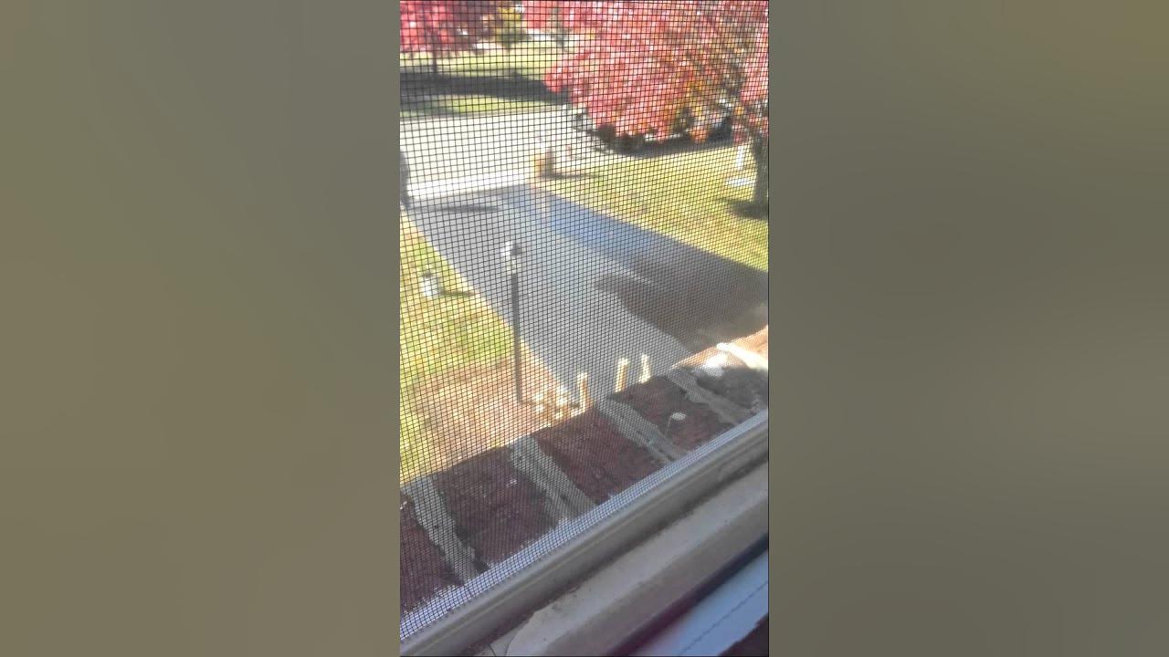 Collegiate Sealers & Paving Virginia YouTube