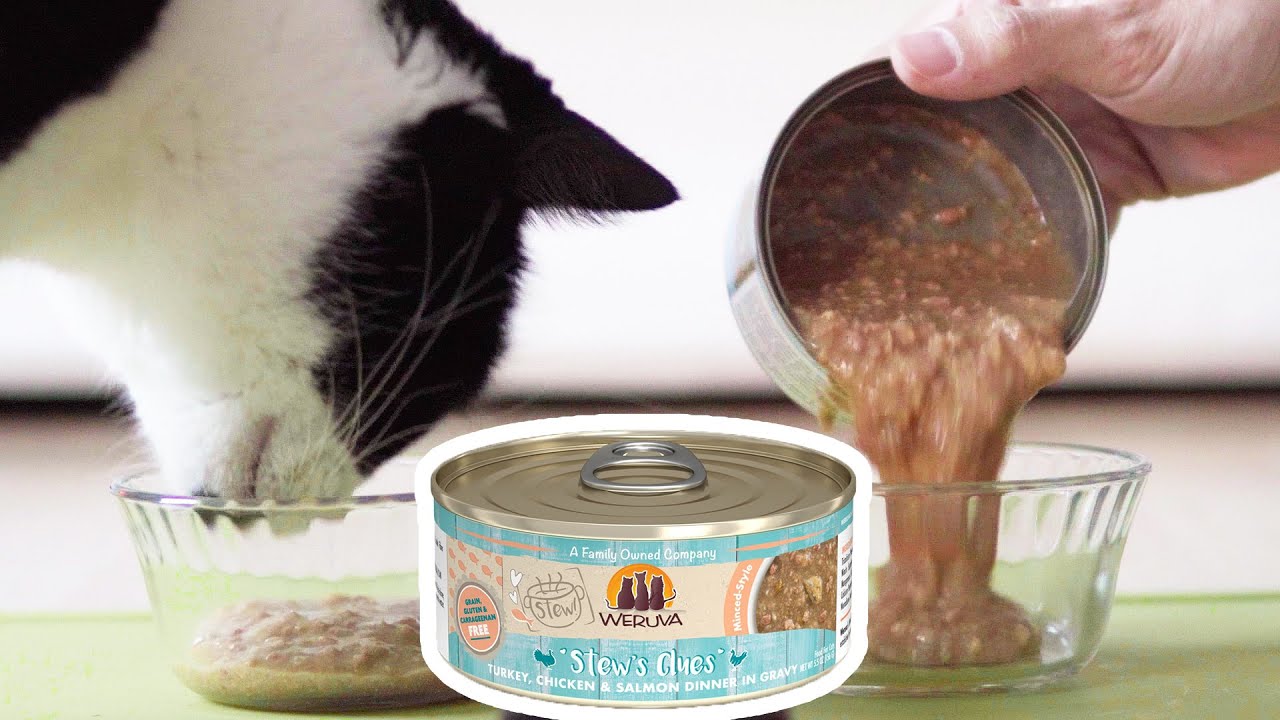 weruva stew cat food