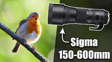 What Makes This Camera Lens So Popular for Wildlife Photography?