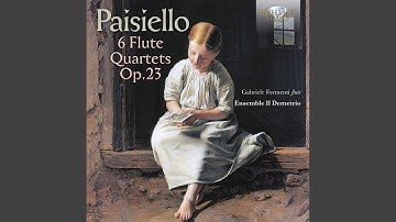 6 Flute Quartets, Op. 23 No. 6 in G Major, R. E.11: I. Allegro