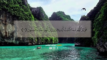 تلاوة جميلة🌱#القارئ_عبدالله_البالاني #القرآن_الكريم #اكسبلور #تلاوة_هادئة #explore #حالات