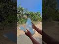 খুব সুন্দর একটা পায়রার ভিডিও। pigeon video blog.#pigeonvideo #shorts