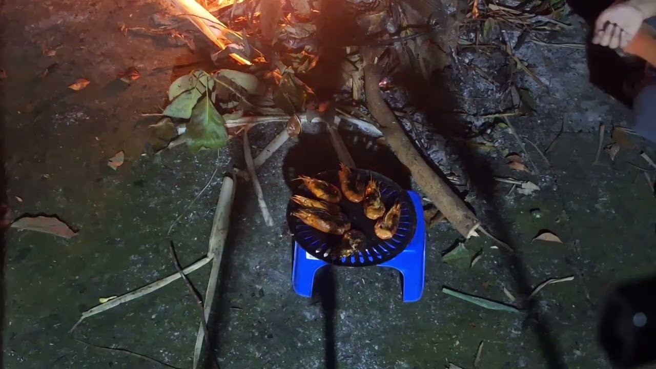 Cắm trại tập 1