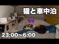 【車中泊】飼い主を好きな猫のマサとの車中泊の様子です。マサは布団の中に入ったり、朝までずっと近くで寝ていたり、おもしろい行動を見せてくれました。