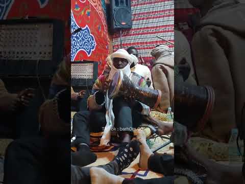 الفنان ربيع ابراهيم حفل العوينات 